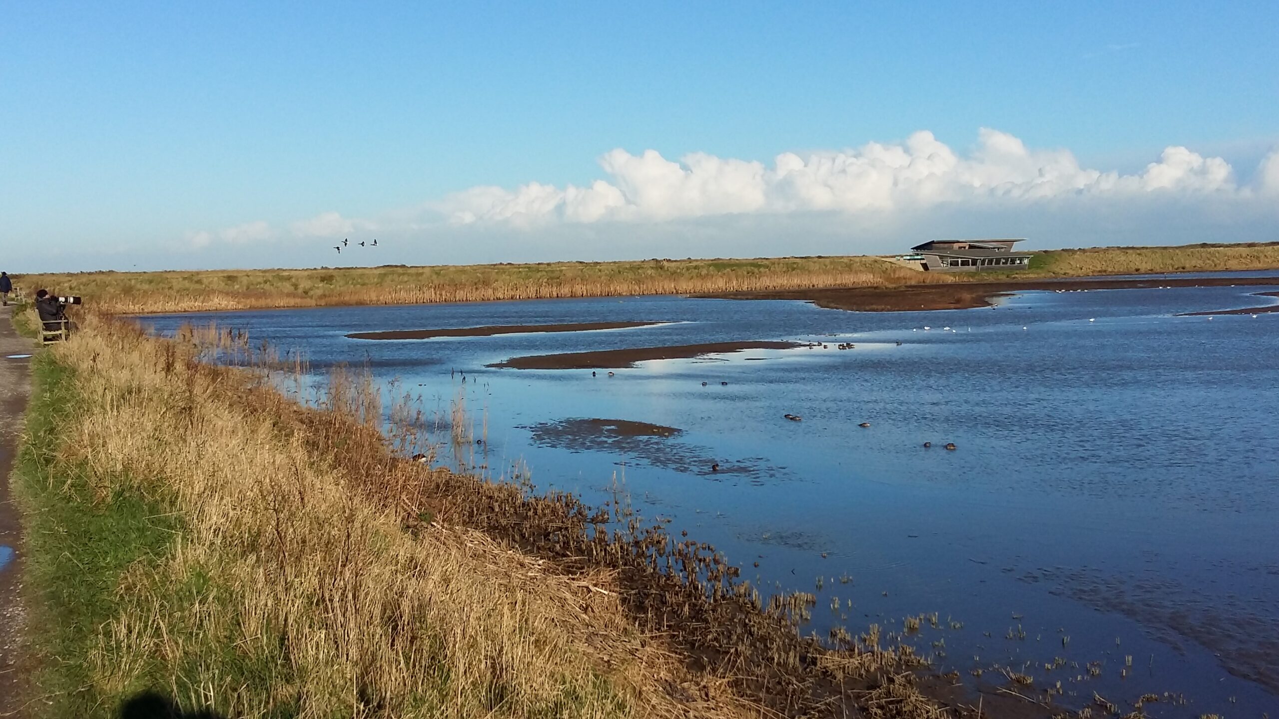 North Norfolk Visitor’s Guide: RSPB Titchwell Marsh Reserve