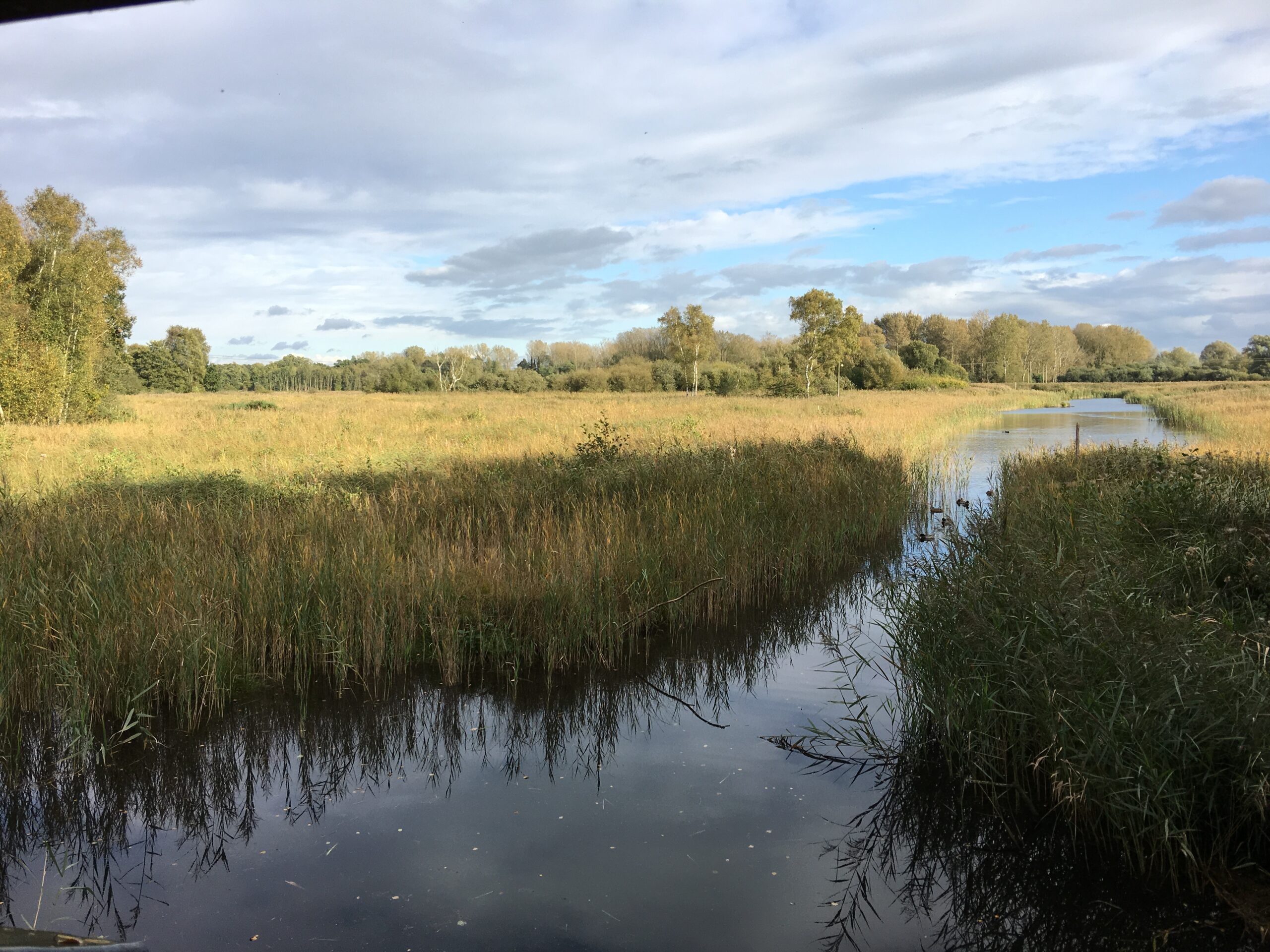 North Norfolk Visitor’s Guide: Sculthorpe Moor Nature Reserve: