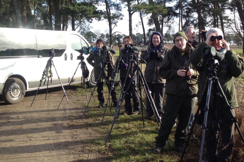 North Norfolk Visitor’s Guide: Norfolk Birding